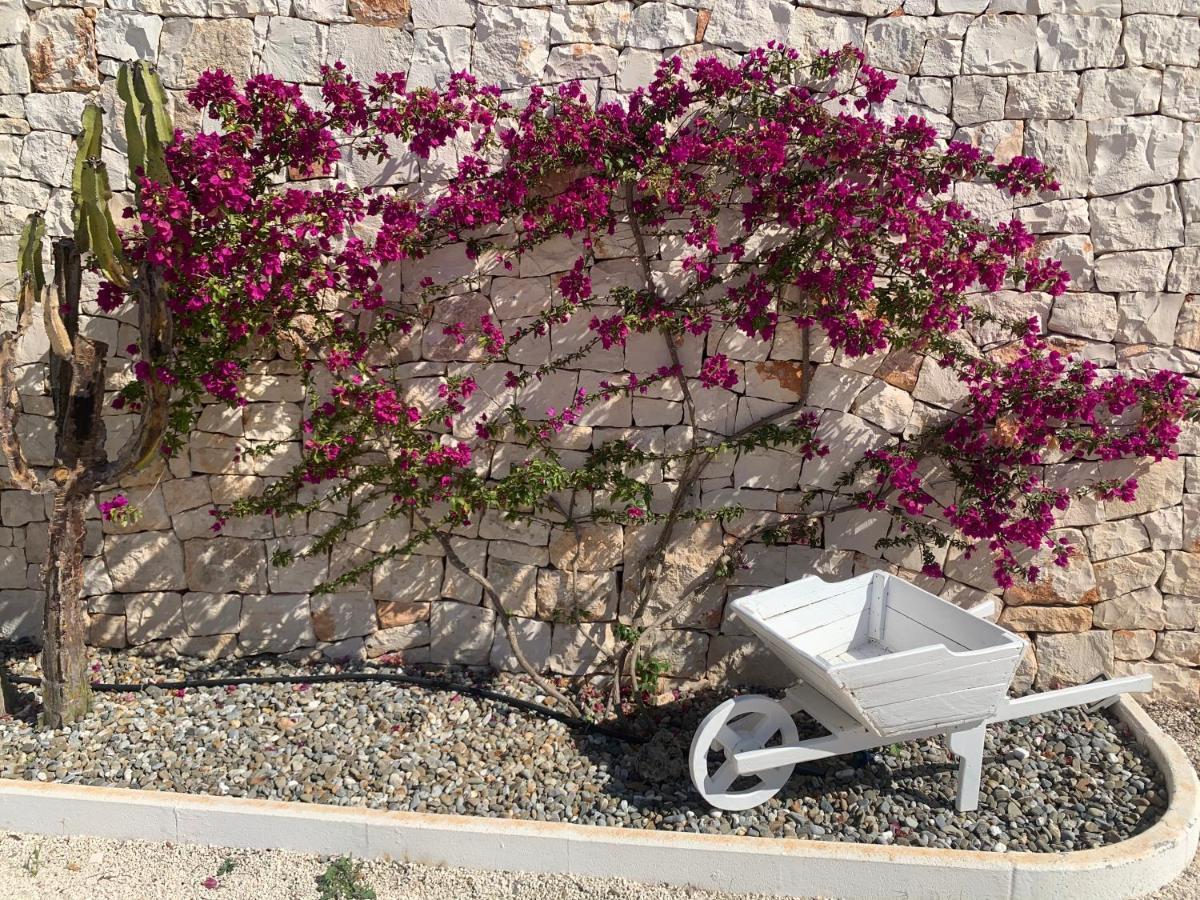 Bed and Breakfast Trulli Tesoro Чистернино Экстерьер фото